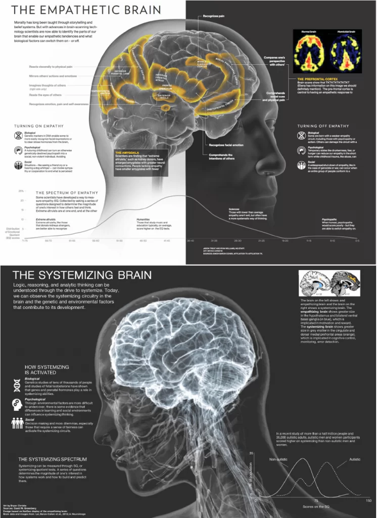 A poster explaining the features of the Systemizing and Empathizing Brain Types that are obtained from the Musical Universe Brain Type Test